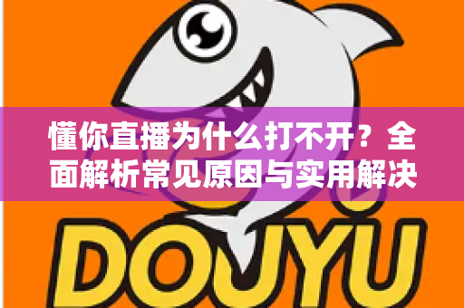 懂你直播为什么打不开？全面解析常见原因与实用解决方案大全