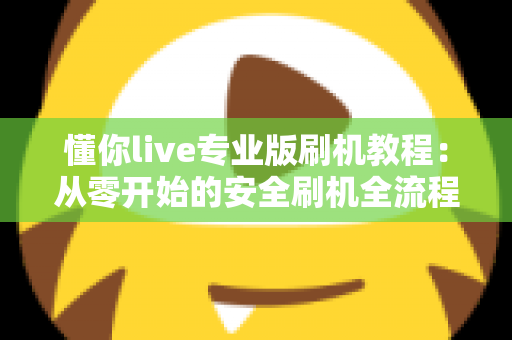 懂你live专业版刷机教程：从零开始的安全刷机全流程实用指南