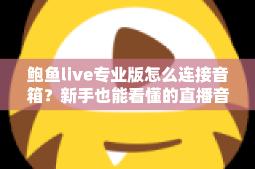 鲍鱼live专业版怎么连接音箱？新手也能看懂的直播音响连接全攻略与音质优化指南