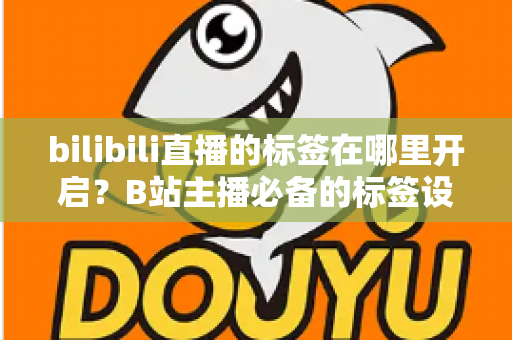 bilibili直播的标签在哪里开启?B站主播必备的标签设置教程与流量增长秘籍 bilibili直播的标签在哪里开启?B站主播必备的标签设置教程与流量增长秘籍