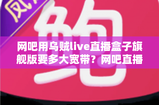 网吧用乌贼live直播盒子旗舰版要多大宽带？网吧直播带宽配置全攻略