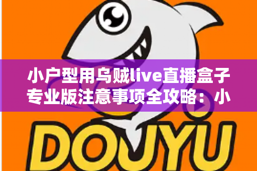 小户型用乌贼live直播盒子专业版注意事项全攻略：小空间也能打造专业级直播间的实用指南