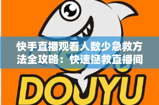 快手直播观看人数少急救方法全攻略：快速拯救直播间人气的实用指南