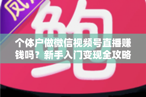 个体户做微信视频号直播赚钱吗？新手入门变现全攻略与真实收益解析