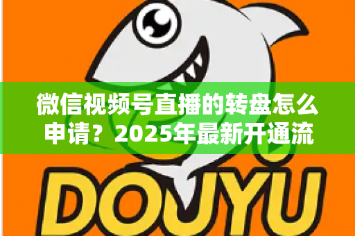 微信视频号直播的转盘怎么申请？2025年最新开通流程与玩法技巧全解析