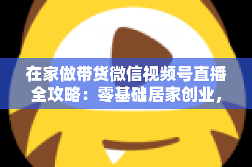 在家做带货微信视频号直播全攻略：零基础居家创业，一部手机开启副业变现之路