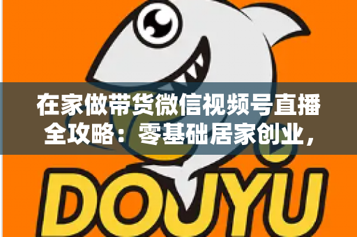 在家做带货微信视频号直播全攻略：零基础居家创业，一部手机开启副业变现之路