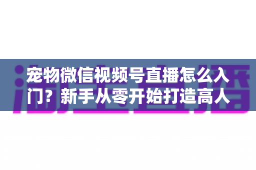 宠物微信视频号直播怎么入门？新手从零开始打造高人气宠物直播间的完整攻略