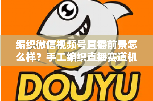 编织微信视频号直播前景怎么样？手工编织直播赛道机遇、变现路径与入局指南全解析