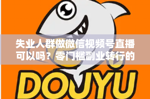 失业人群做微信视频号直播可以吗？零门槛副业转行的真实答案与实操指南