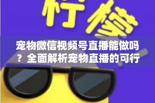宠物微信视频号直播能做吗？全面解析宠物直播的可行性、运营方法与变现思路